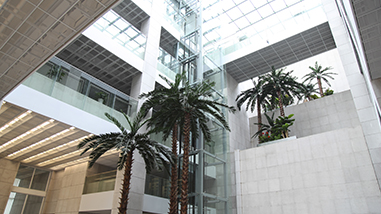 IMG_5263_1.jpg IMG_5263_1.jpg